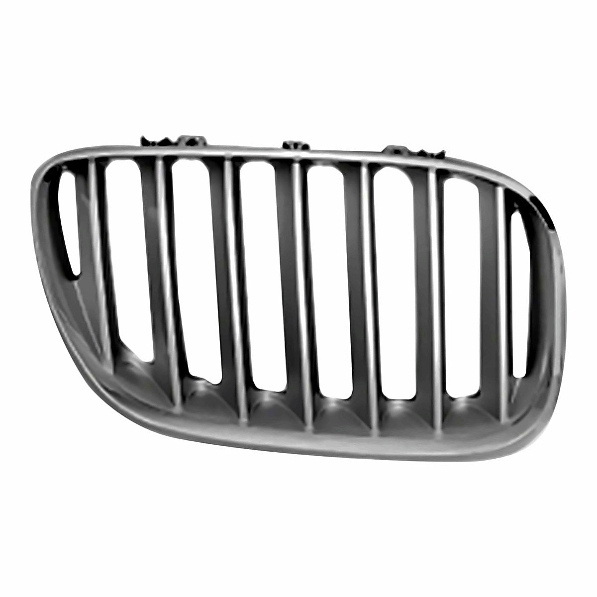 2004-2006 Bmw X5 Passenger Side Grille Rh, bm1200160. Front view.