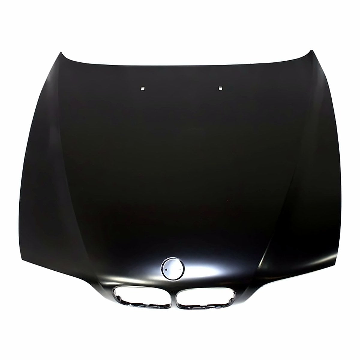 1997-2003 Bmw 5 Series Hood, bm1230107. Front view.