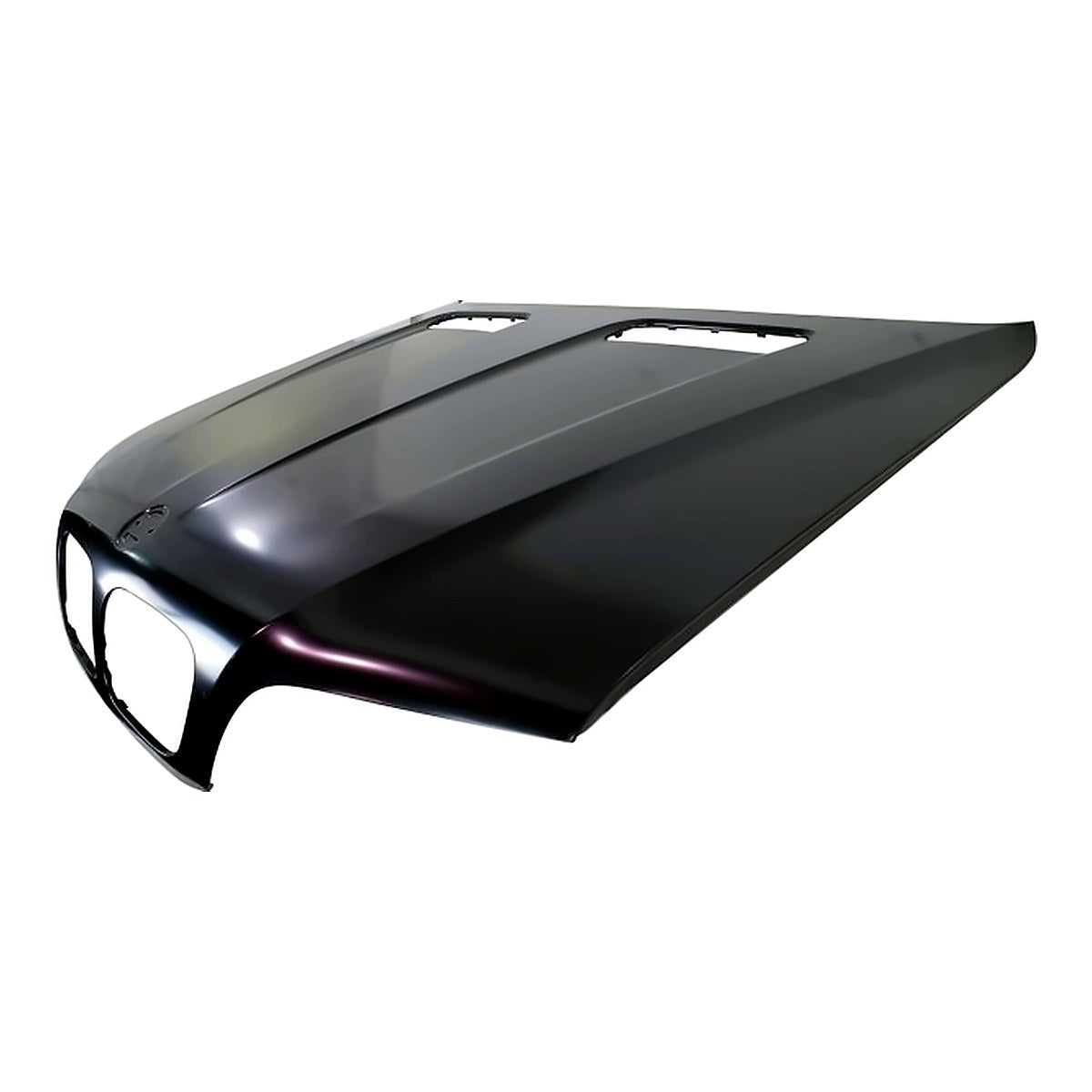 2000-2003 Bmw X5 Hood, bm1230114. Front view.