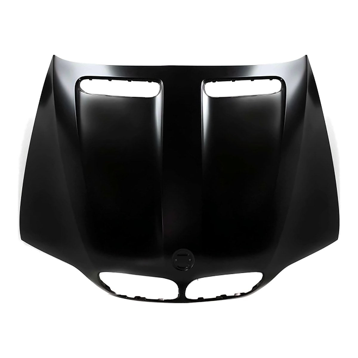 2004-2006 Bmw X5 Hood, bm1230126. Front view.