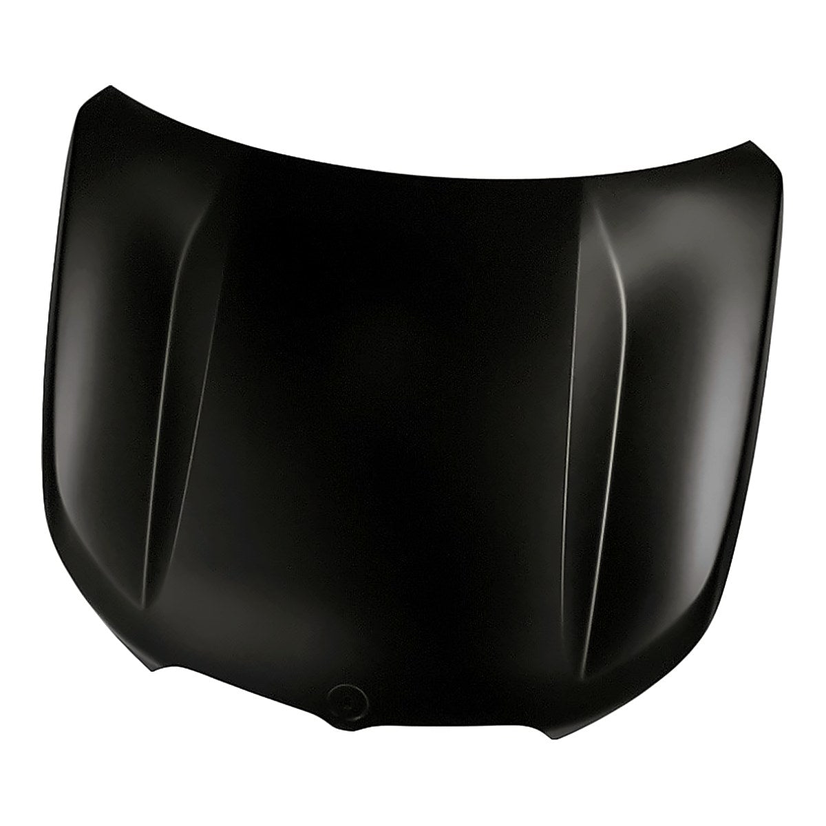 2023-Bmw- 1 Hood Aluminum, bm1230162. Front view.