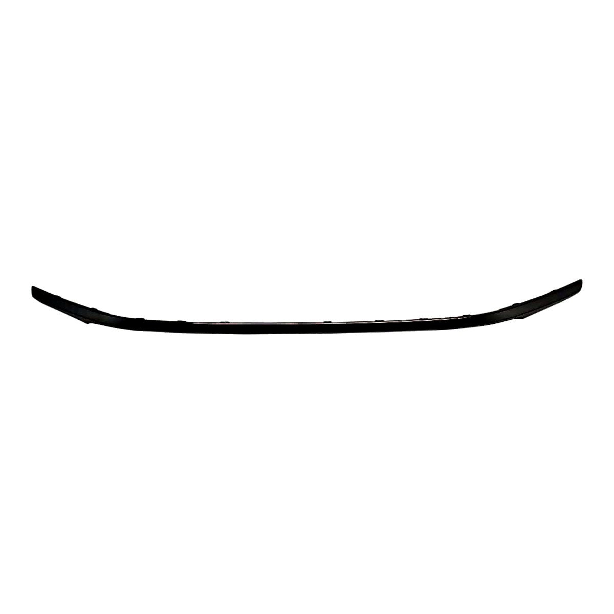2016-2017 Honda Accord Coupe Rear Bumper Moulding, ho1144101. Front view.