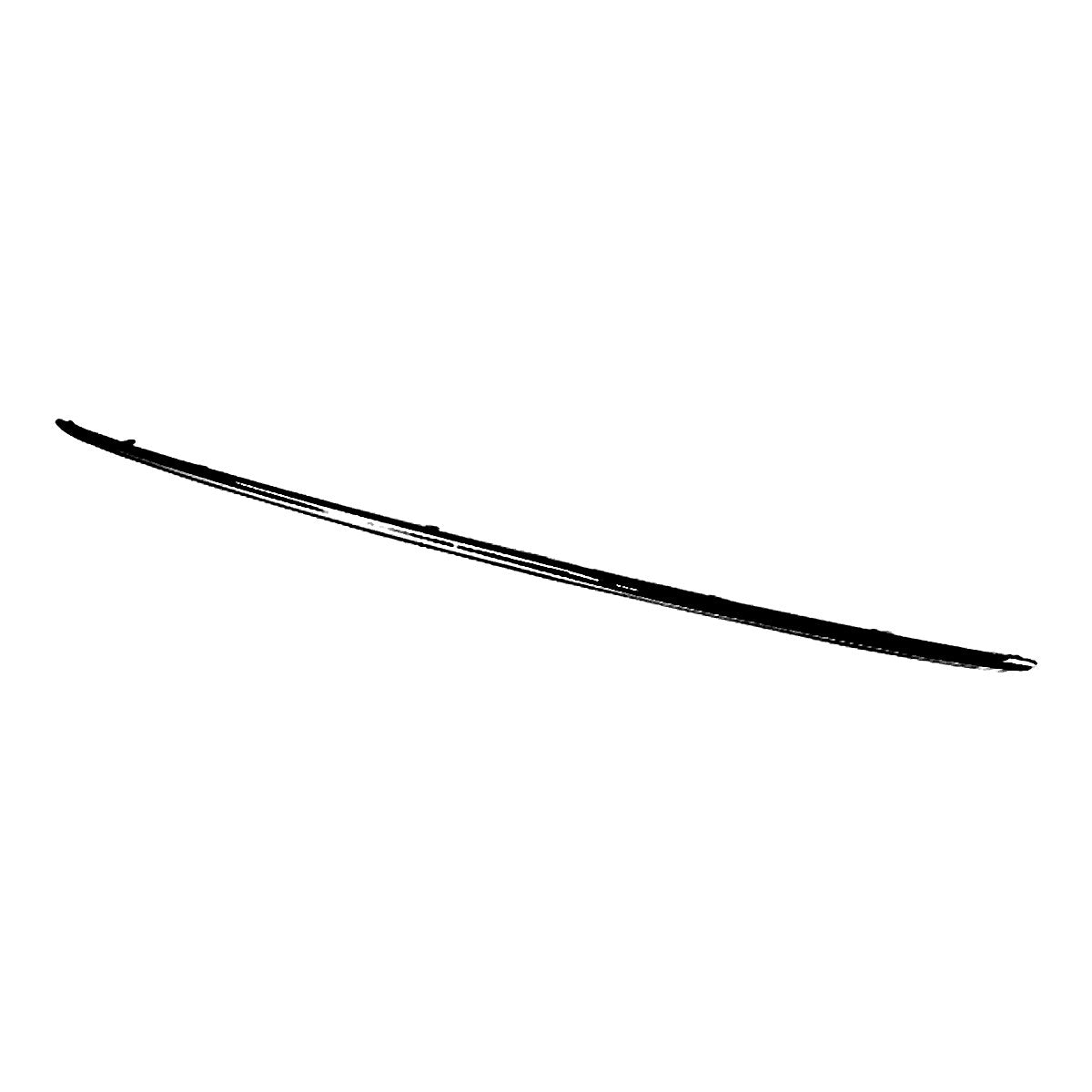 2013-2018 Toyota Avalon Rear Bumper Moulding, to1144101. Front view.