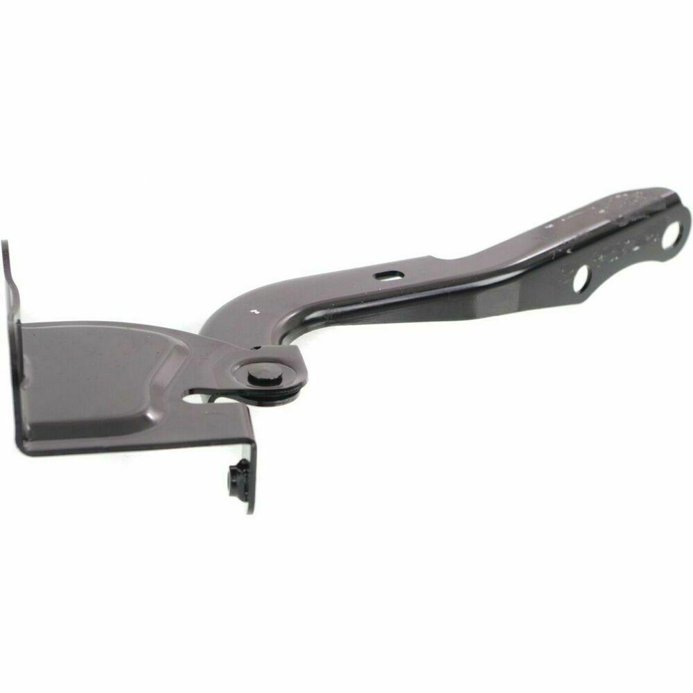 2014-2019 Toyota Highlander Hood Hinge Passenger Side , TO1236193. Professional-grade auto body part.